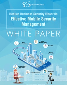 Mobile Security Management White Paper Download